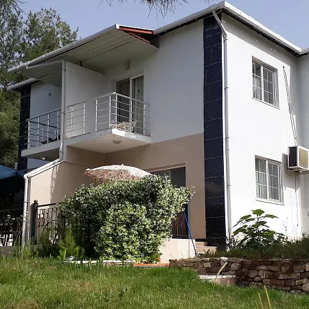 Villas *